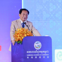 柬埔寨农业大亨力推 "冷气养猪" 模式 引领养殖业现代化转型